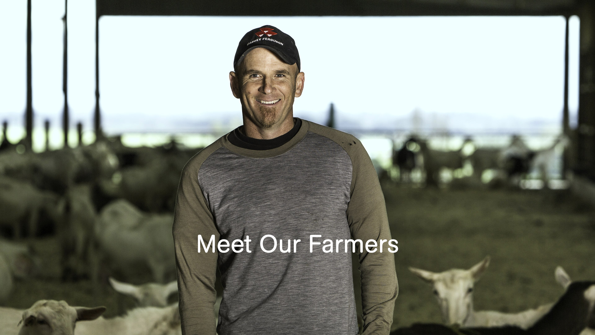 new zealand farmers